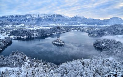 Anche tu speri che una boilies ti possa salvare dal cappotto invernale?