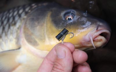 Zig Rig: La Svolta Che Rivoluziona il Carpfishing